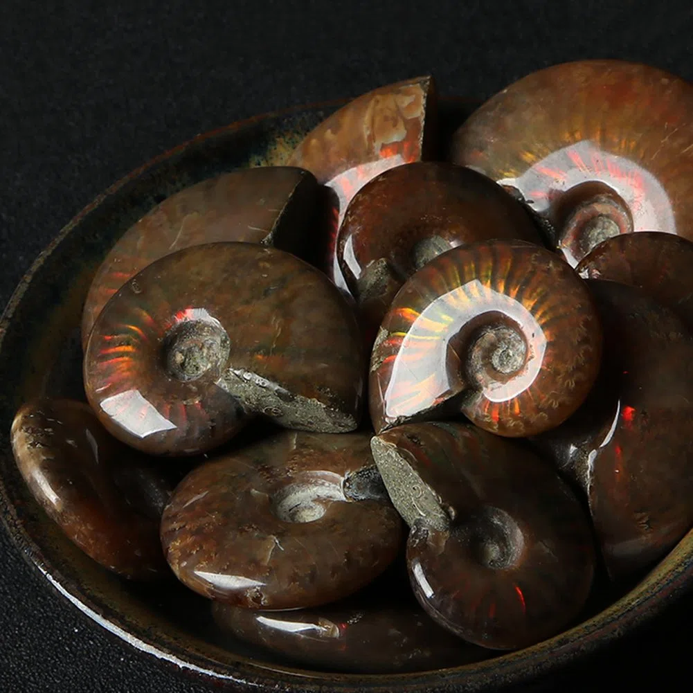 AITELEI Lucky Fortune Espiral Ammolita Natural Amonita Fósil Pure Natural Artesanía Piezas de Caracola, Piedra Fósil Jugada en Palmas