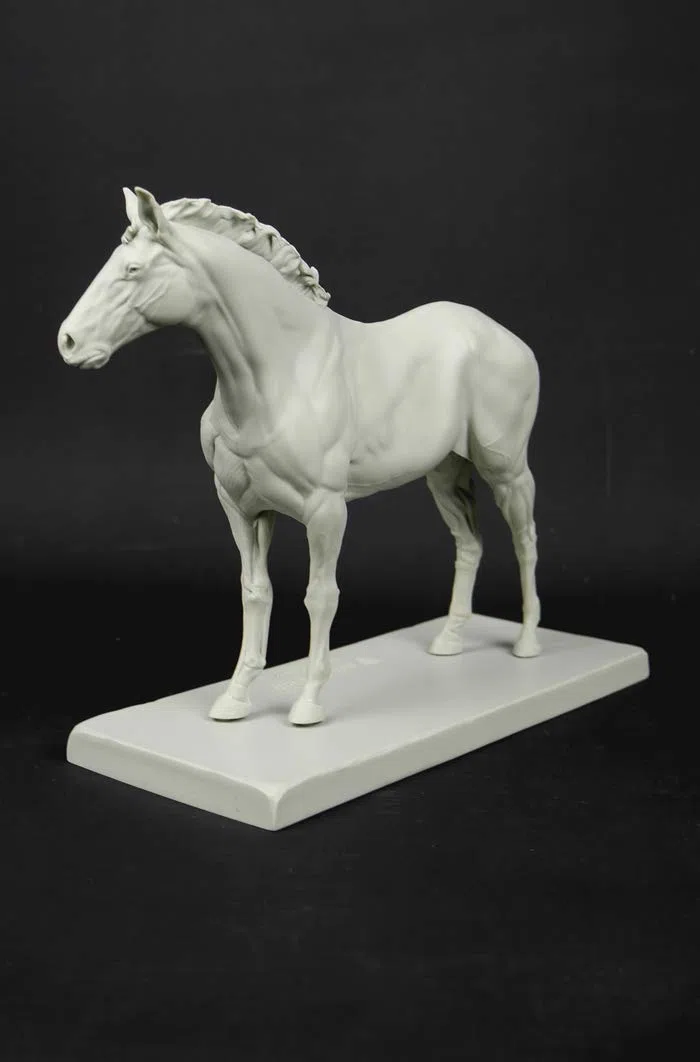 3dtotal Anatomy: figura de equino