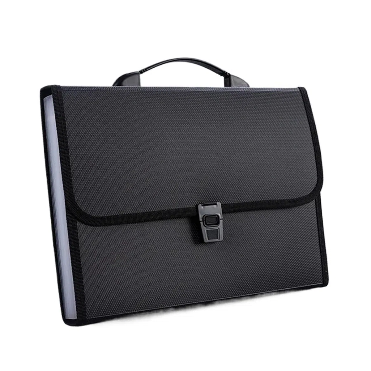 Carpeta Clasificadora Carpeta de archivos acordeón | Organizador de papel portátil A4, carpeta multicapa for documentos de exámenes de estudiantes(Black)