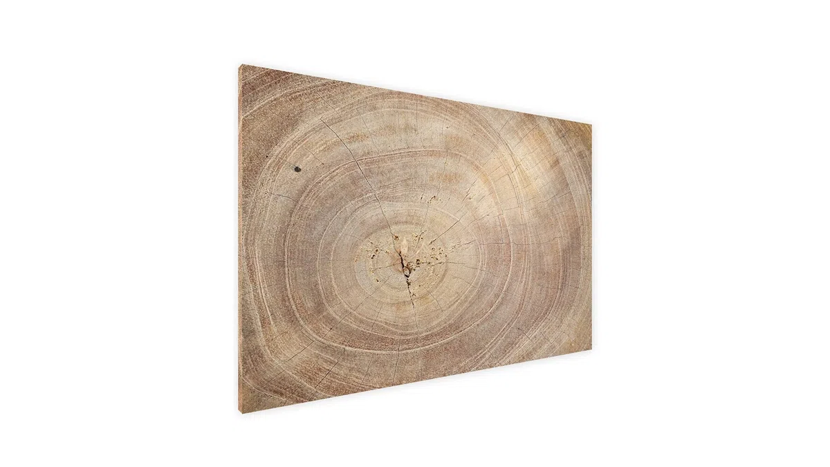 ALLboards Pizarra magnética de metal para todo tipo de imanes, pizarra magnética para escribir + 2 rotuladores, 6 imanes y esponja incluidos en el paquete, motivo: árboles, 90 x 60 cm