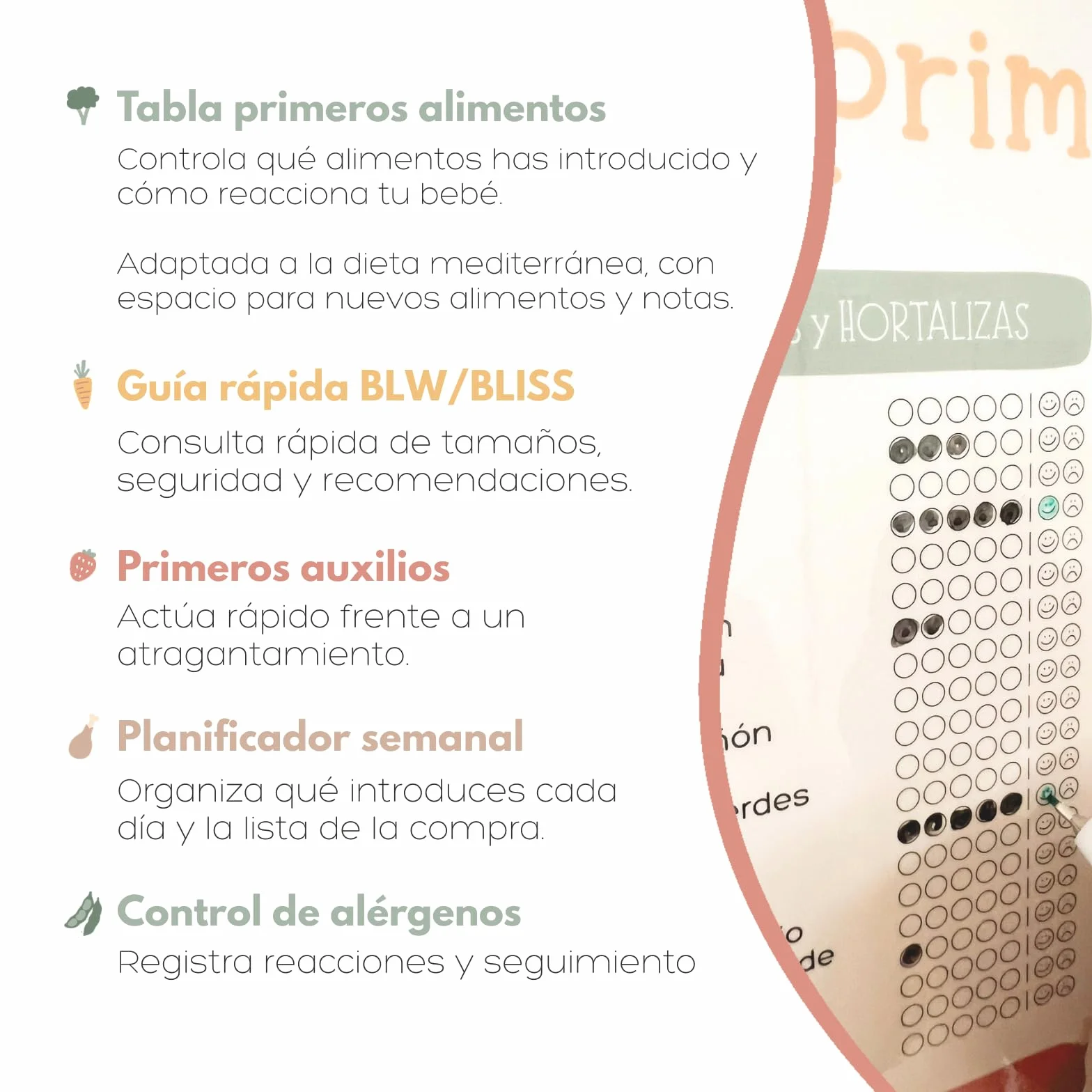 Bebébite Set de 5 Pizarras Magnéticas para Nevera Alimentación Complementaria BLW en Español
