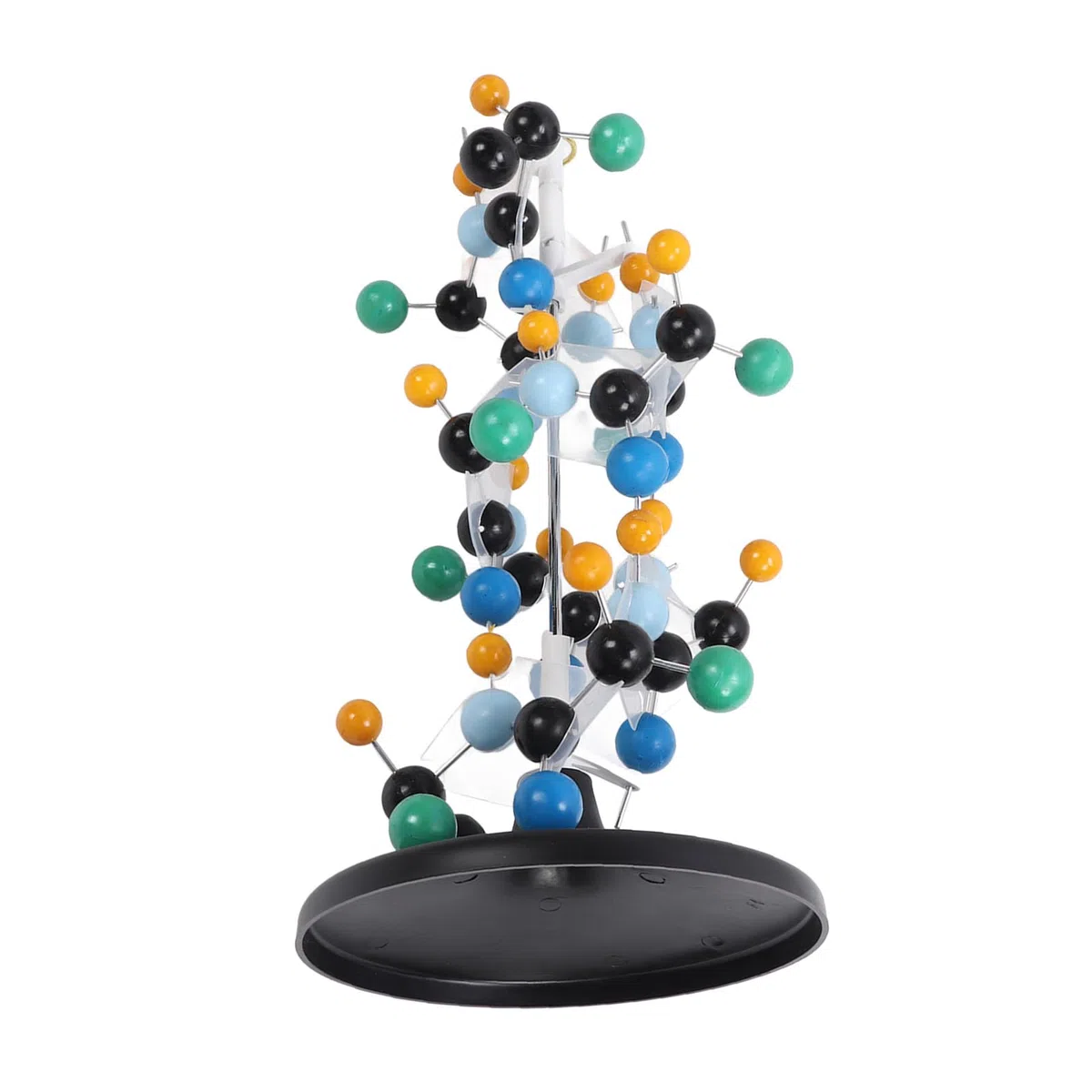 Equipo de Modelo Molecular de Proteína, Plástico Escolar para Profesores, Profesores, Profesores, Profesores, Animales Modelo
