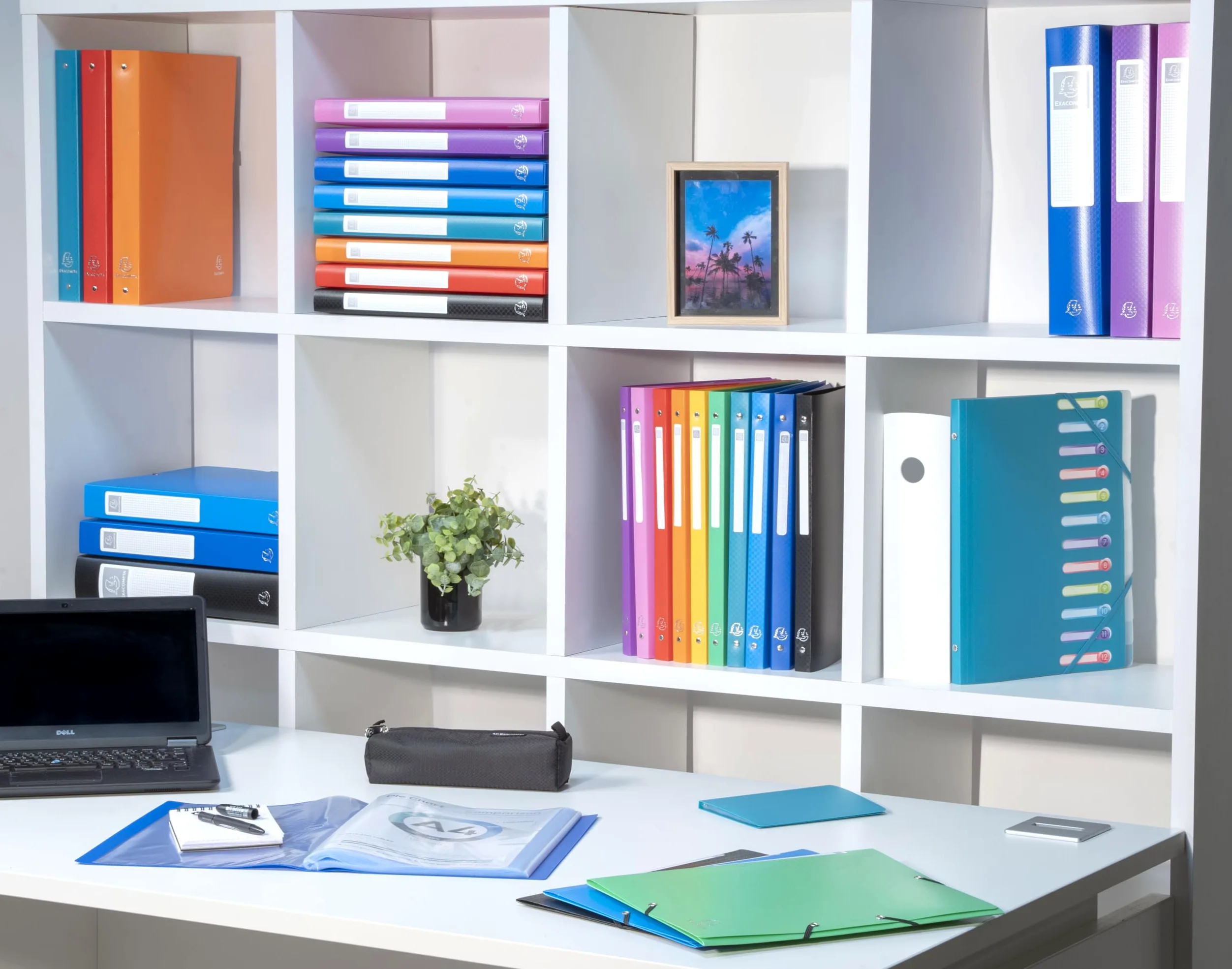Exacompta Ref. 8862E – Caja de 8 carpetas OPAK – 60 fundas transparentes lisas – 120 vistas – para tamaño A4 – Dimensiones 24 x 32 cm – cubierta de polipropileno semirrígido – azul claro