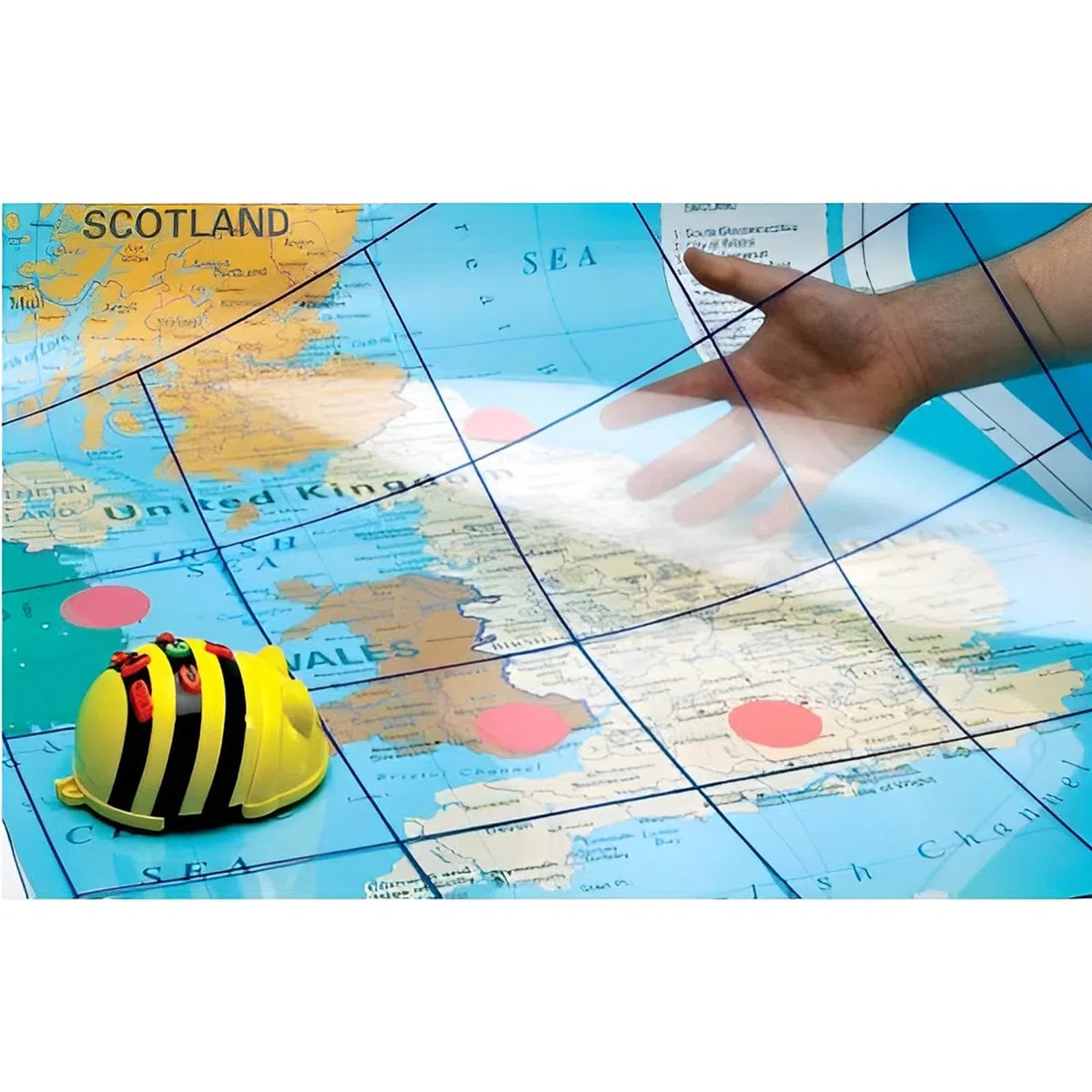 TTS ITSGRID Bee-Bot y Blue-Bot - Alfombrilla de rejilla transparente