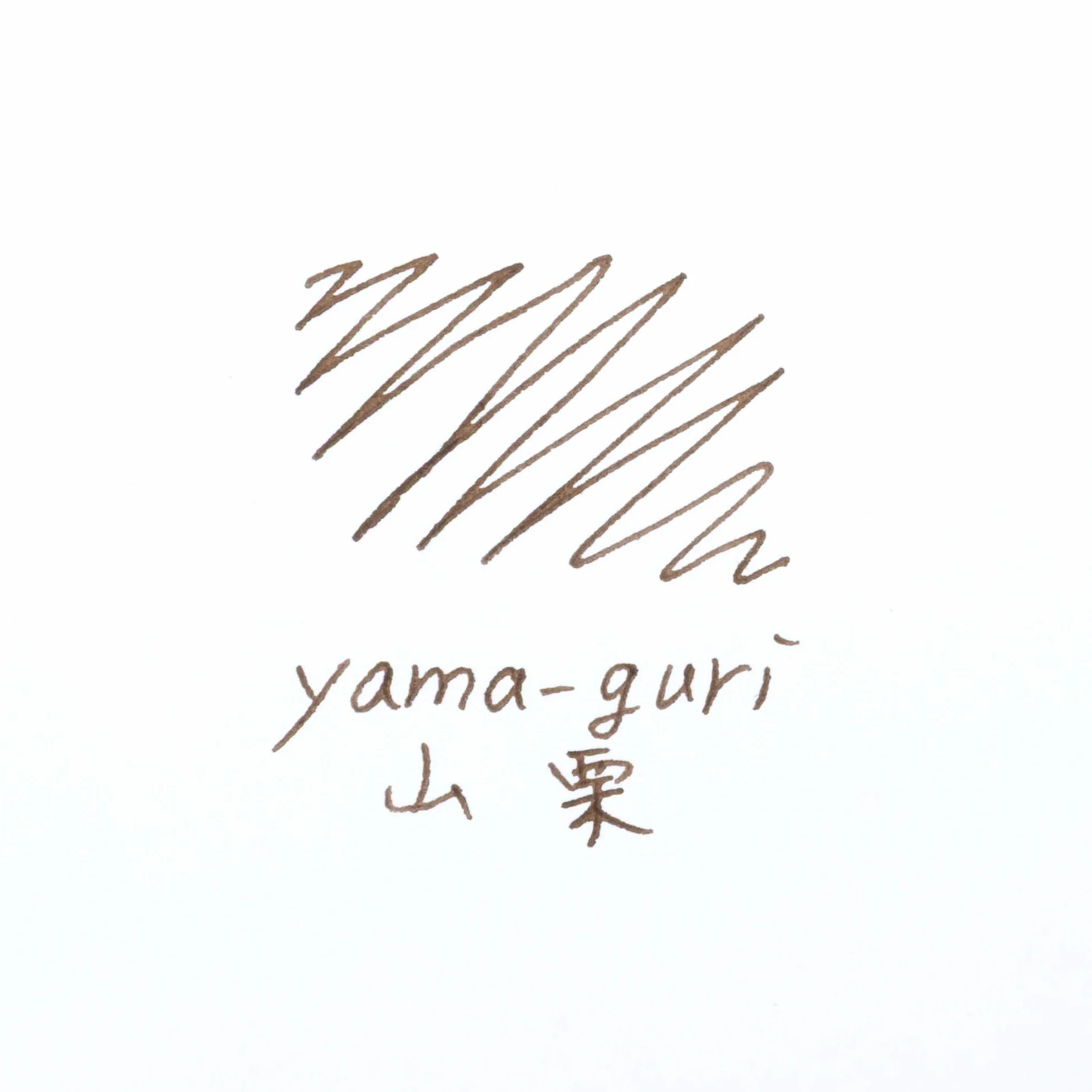 Pilot Iroshizuku Fountain Pen Ink - 50 ml Bottle - Yama-guri Wild Chestnut (Dark Brown) (importación de Japón)