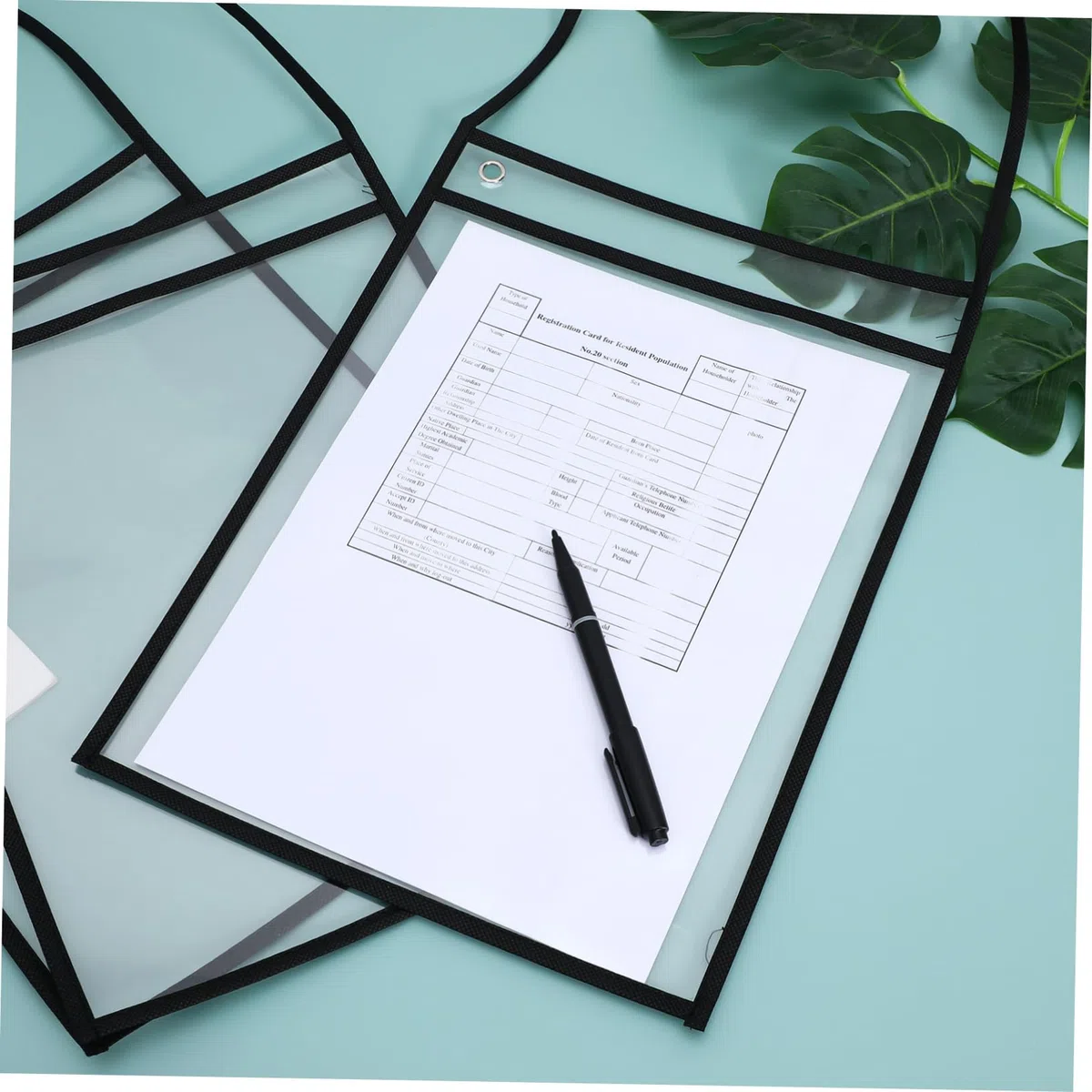Organizador Colgante de Hojas 30 Piezas Negro Pet Pvc para Controlar | Necesidades del Profesor, Trabajar, Write And Erase, Decoracion Colegio, Material Escolar y Papeleria