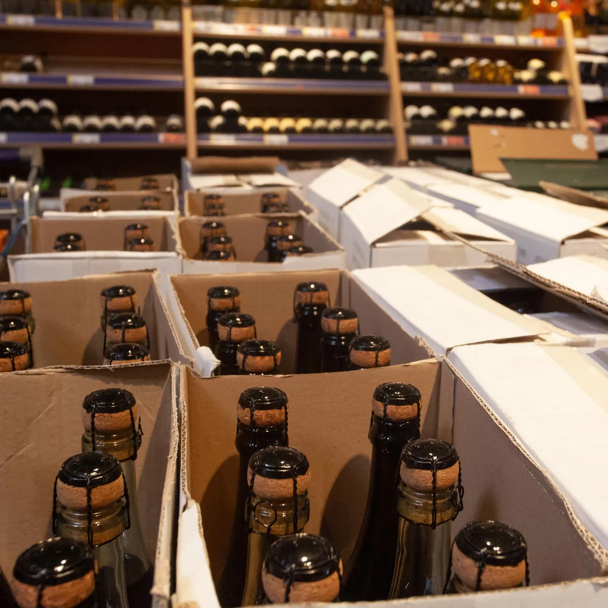 Cajas para Botellas de Vino Envío Seguro · PACKPRO Cartón Corrugado · Pack 10 Uds Separadores 6 Huecos · E-commerce y Mudanzas