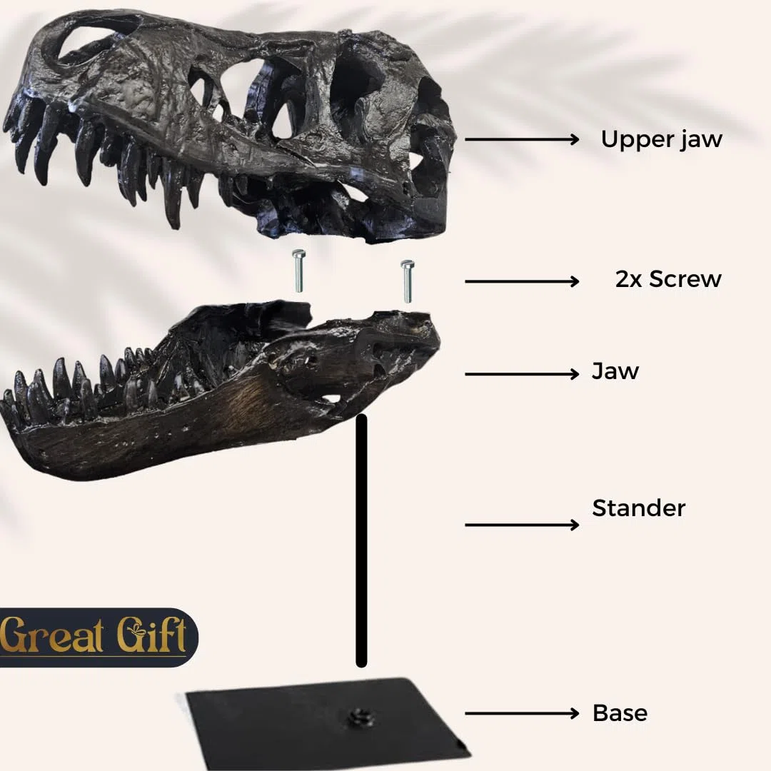 T-Rex Cráneo XXL sobre soporte de metal - Réplica - Tyrannosaurus Rex - Dinosaurio - Fósil - Decoración de lujo - 30x25 cm