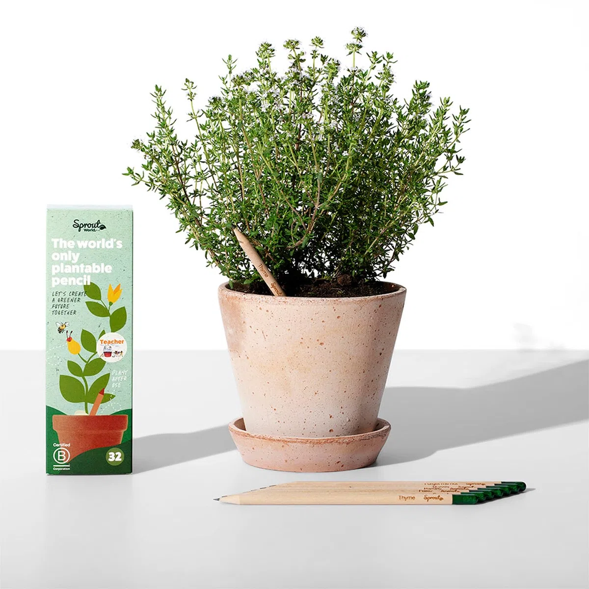 Sprout World Lápices | Bundle Edición Maestros + Original | Set de 40 Lápices de Grafito Plantables con Semillas de Flores, Hierbas y Vegetales | Madera Ecológica | Regalo Sostenible para Profesores