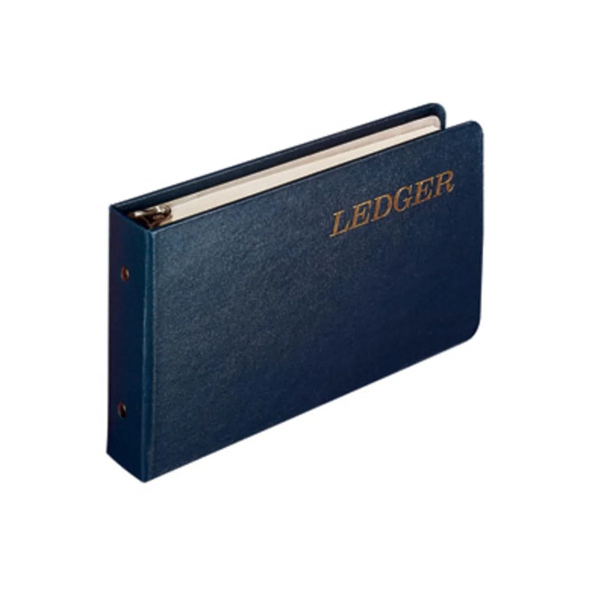 Wilson Jones Ring Ledger Outfit, sistema de contabilidad con carpeta de anillos, hojas de libro mayor e índices A-Z (W0203-58BLA), azul, 1.5 pulgadas