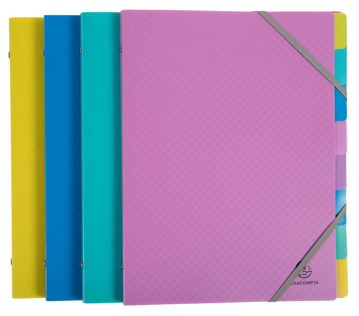 Exacompta 56190E Forever Young - Caja de 8 clasificadores, 3 solapas con gomas - cubierta e interior de polipropileno reciclado - 8 compartimentos - Dim 25 x 32 cm - para tamaño A4 - surtidos