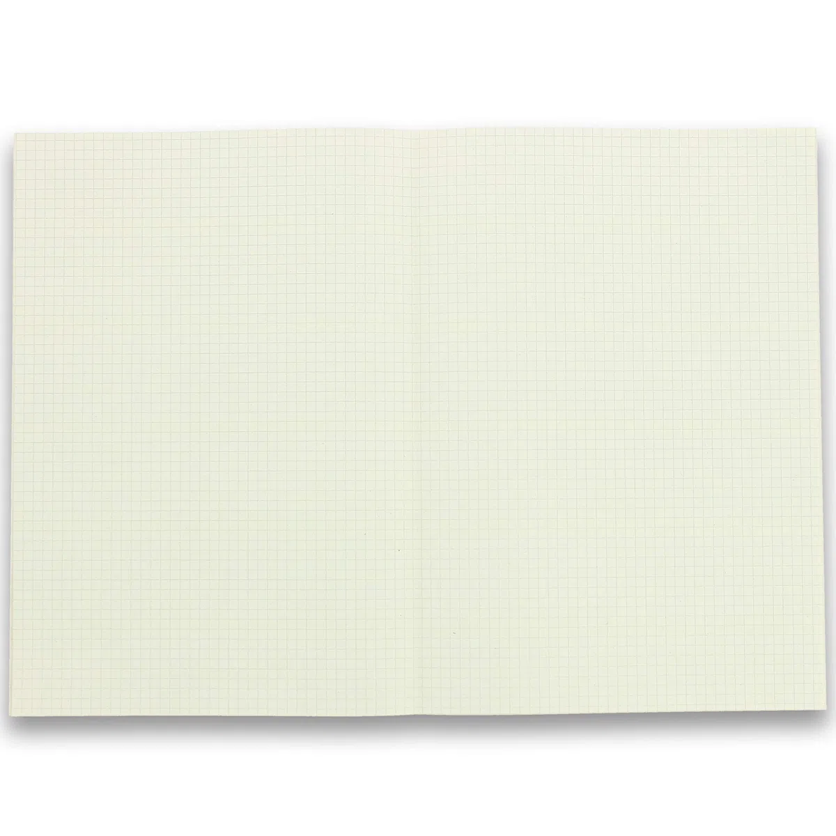 Landré 100050614 - Folios (DIN A3 plegado en DIN A4, a cuadros, 70 g/m2, papel reciclado 100%, 250 hojas)