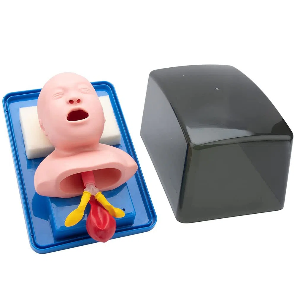 Simulador de entrenamiento de intubación de vías respiratorias infantiles, modelo de enseñanza de PVC para gestión de vías respiratorias, 27 x 20 x 12 cm, ideal para estudios médicos y entrenamiento