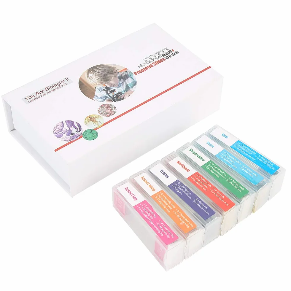 Kit de Cuchillas de microscopio preparadas con muestras de Hojas de Vidrio Transparentes colección de ejemplares Surtidos para la enseñanza de Las Ciencias biológicas básicas 35PC