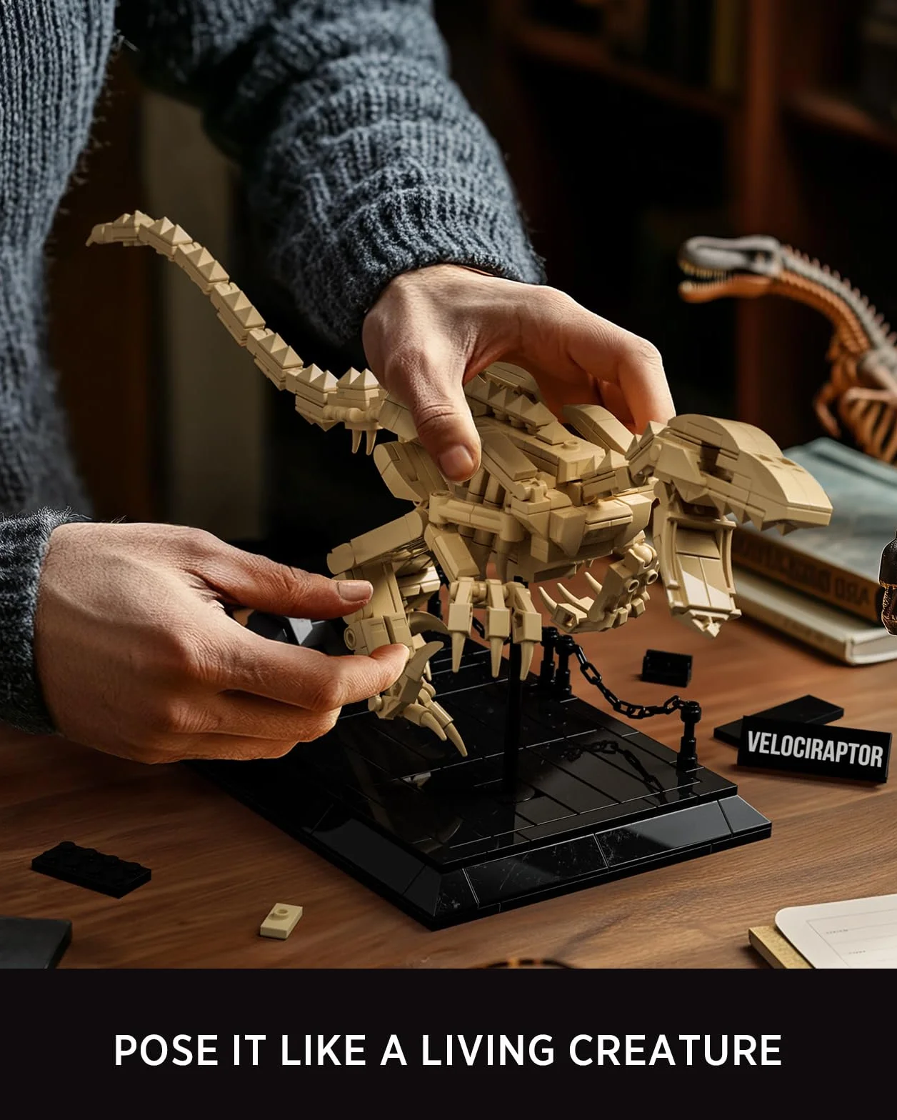 Nifeliz Set de Modelo Fósil de Velociraptor, Kit de Construcción de Esqueleto de Dinosaurio con Base para Adultos, Regalo de Colección para Amantes de los Dinosaurios (498 Piezas, NF10357)
