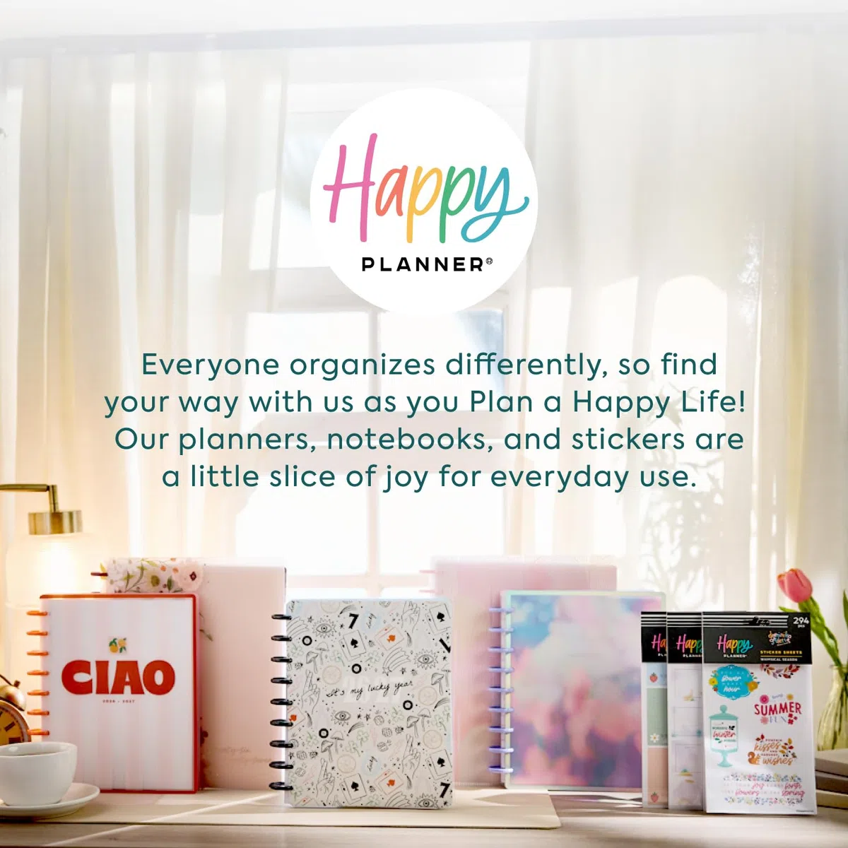 The Happy Planner Mystic Moths Sage Classic - Agenda de 12 meses con fecha de disco