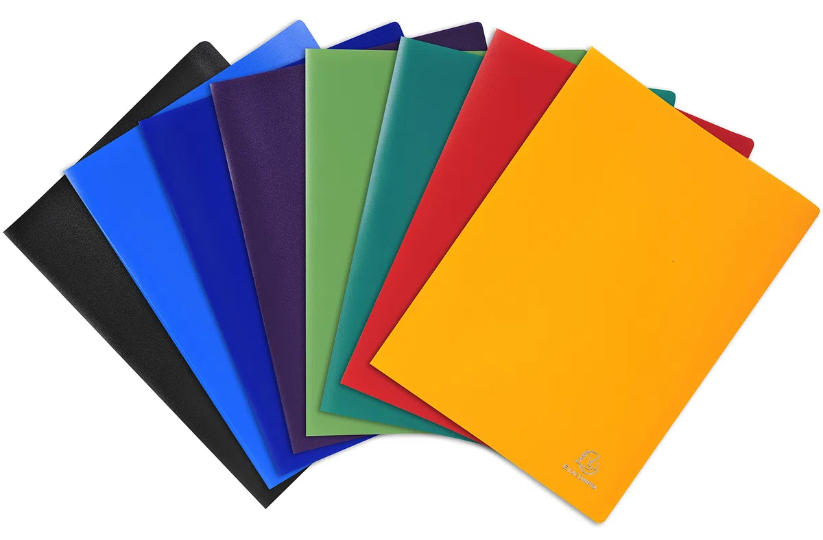 Exacompta 8510E - Lote de 25 carpetas de 10 fundas PVC, A4, multicolor