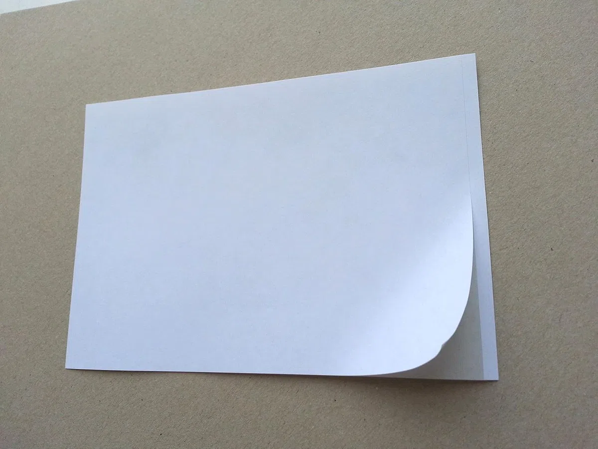 Pegatinas para paquetes/palés DIN A5 x 1000 | incluye lengüeta de 5 mm para despegar fácilmente | Autoadhesivo | para impresoras láser y de inyección de tinta – Fabricado en Alemania