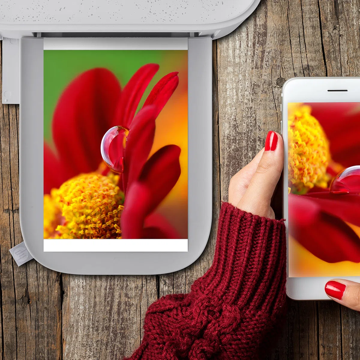 HP Sprocket Studio Plus de 4x6” Papel fotográfico y cartuchos (incluye 108 hojas y 2 cartuchos) - Compatible SOLO con la impresora HP Sprocket Studio Plus