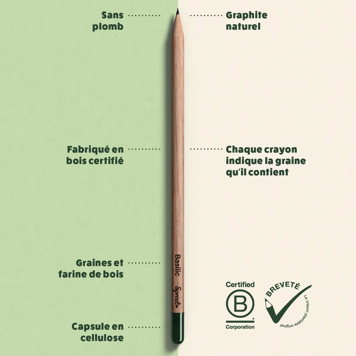 Sprout World Lápices | Bundle Edición Maestros + Original | Set de 40 Lápices de Grafito Plantables con Semillas de Flores, Hierbas y Vegetales | Madera Ecológica | Regalo Sostenible para Profesores