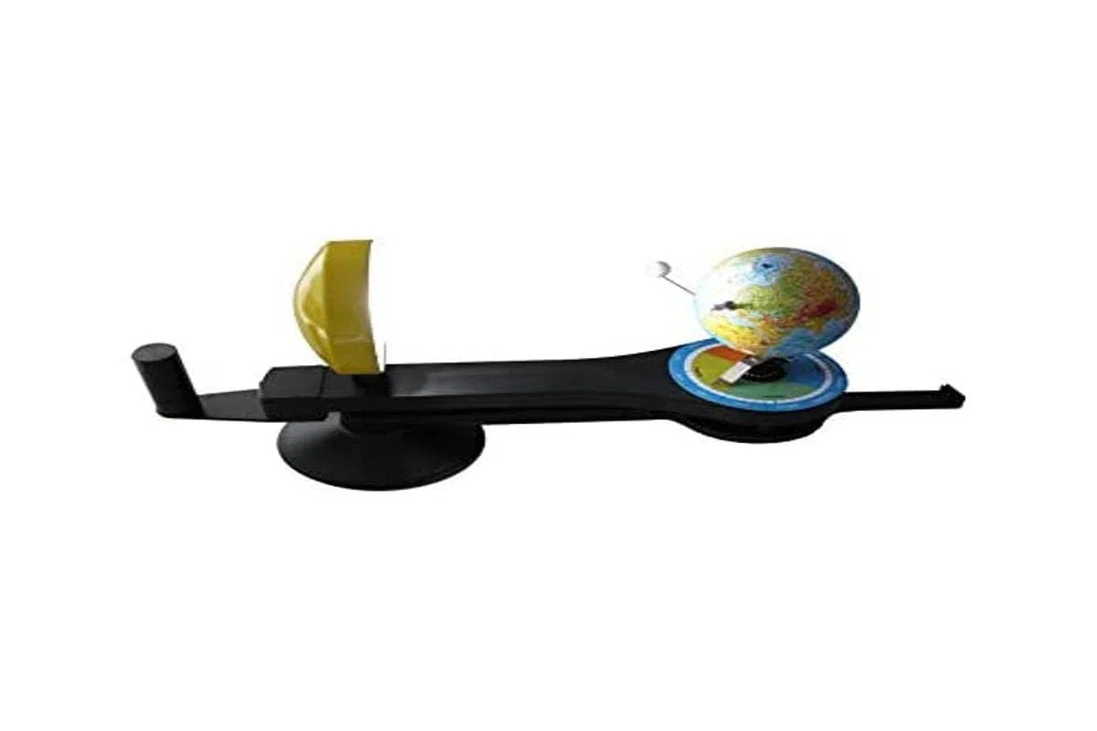 3B Scientific U19600 Modelo Anatómico De Tulipanes