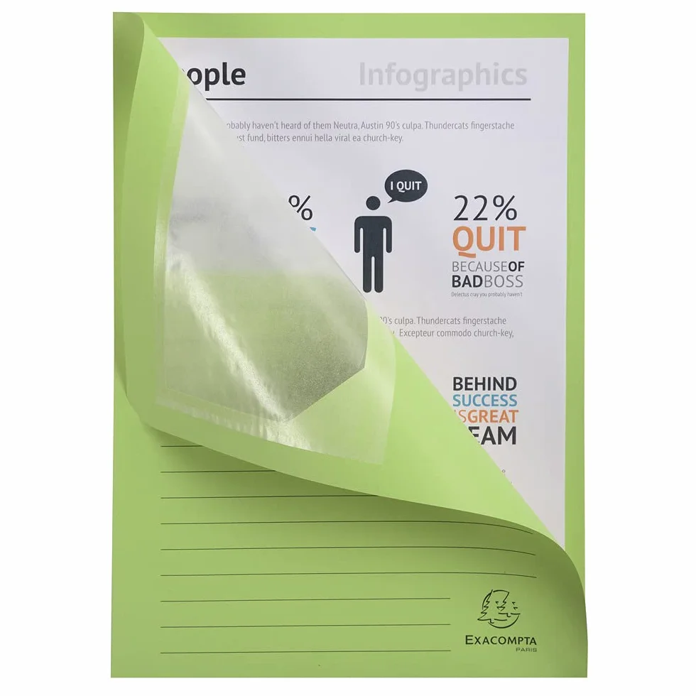 Exacompta 50107E - Paquete de 100 carpetas con ventana A4, verde