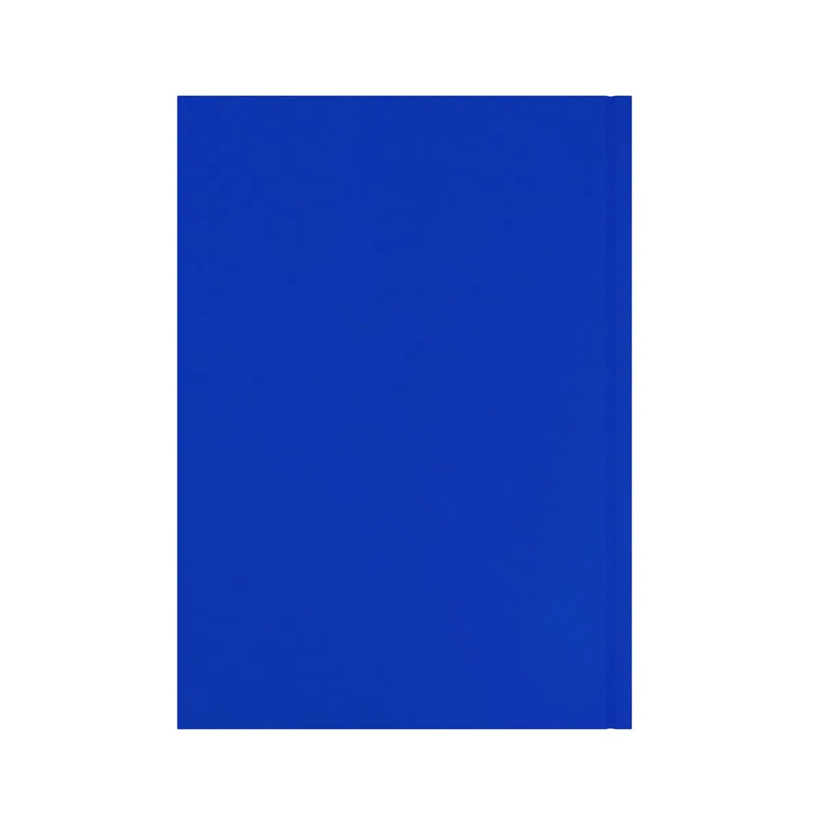 Agenda anual 2027, agenda semanal de 12 meses, tamaño A4, tapa dura en azul, gama esencial Collins Debden (ESSA43.60-27)