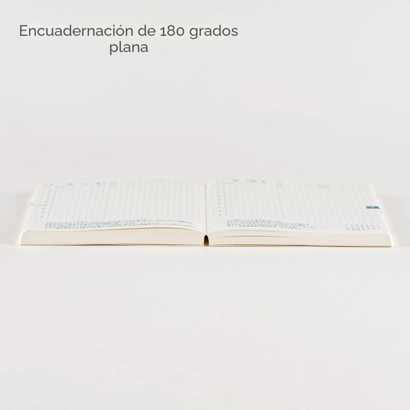 Hobonichi Techo 2026 Original Book - A6, inglés, diario, inicio de enero, inicio de lunes, planificador