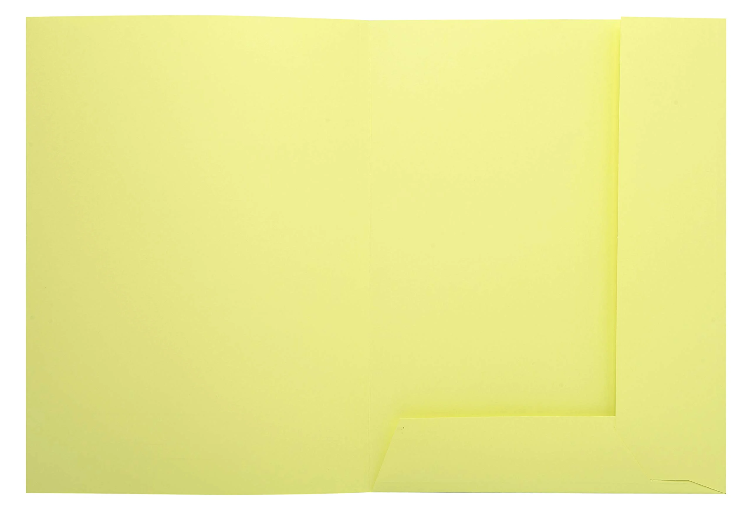Exacompta 335005E - Lote de 50 Subcarpetas Super 250 Impresas y con 2 Solapas, Color Amarillo