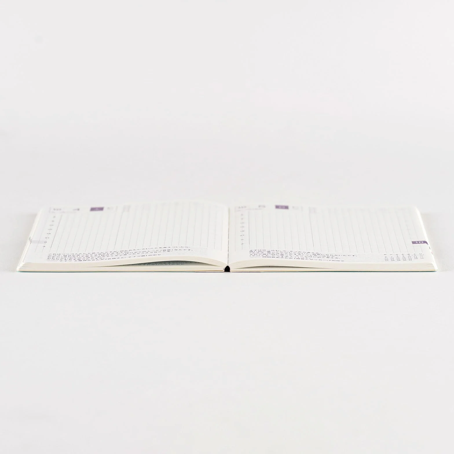 Hobonichi Techo 2025 - Libro original japonés de Avec [tamaño A6/cuaderno mensual diario/libro de 6 meses/1 de julio a 31 de diciembre y lunes de inicio]