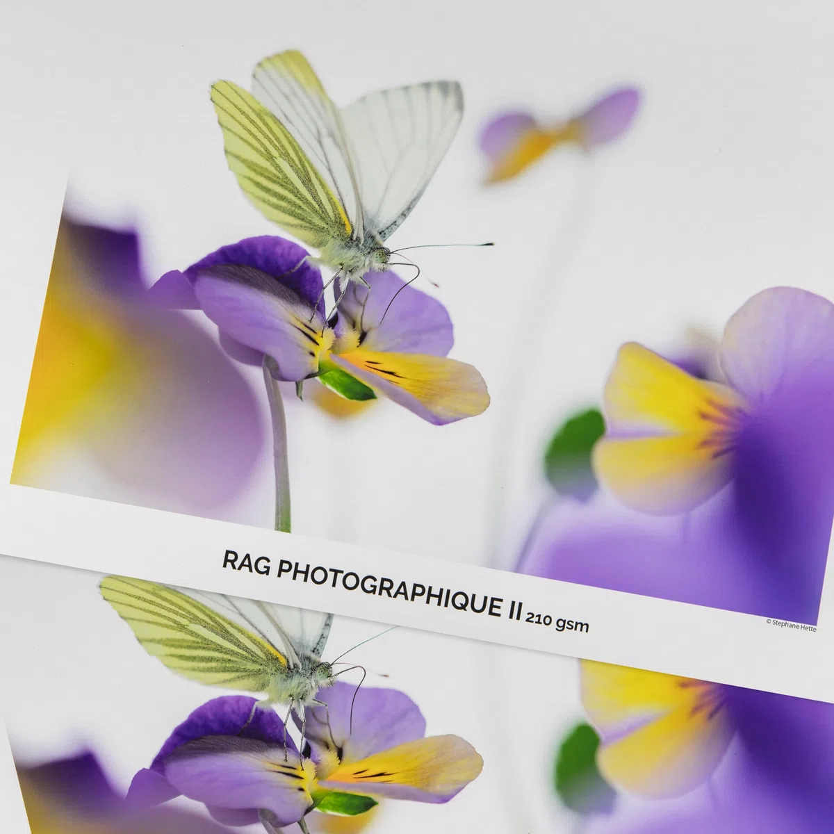Canson Infinity Rag Photographique II 210gsm A3-29,7x42cm 25 Hojas