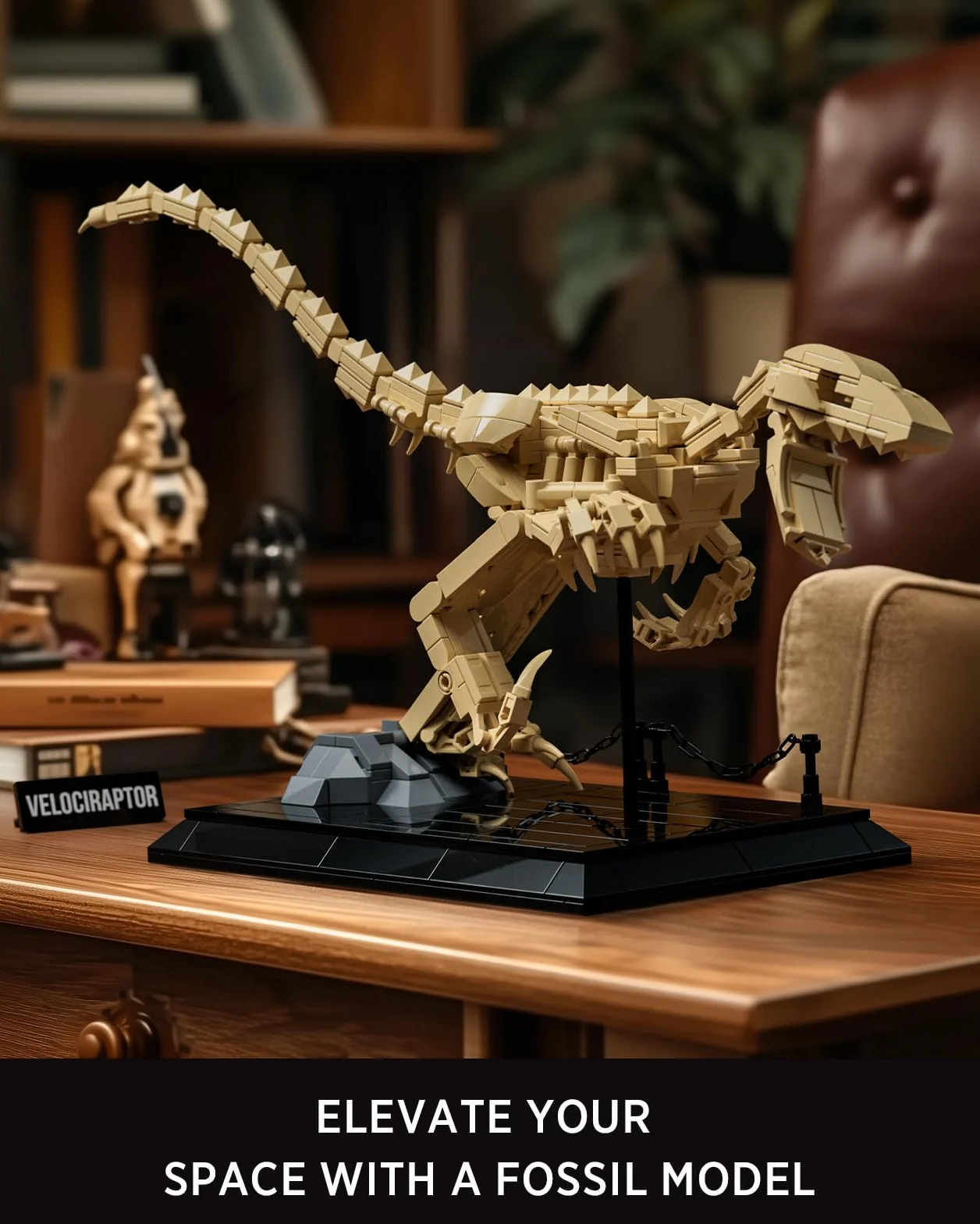 Nifeliz Set de Modelo Fósil de Velociraptor, Kit de Construcción de Esqueleto de Dinosaurio con Base para Adultos, Regalo de Colección para Amantes de los Dinosaurios (498 Piezas, NF10357)