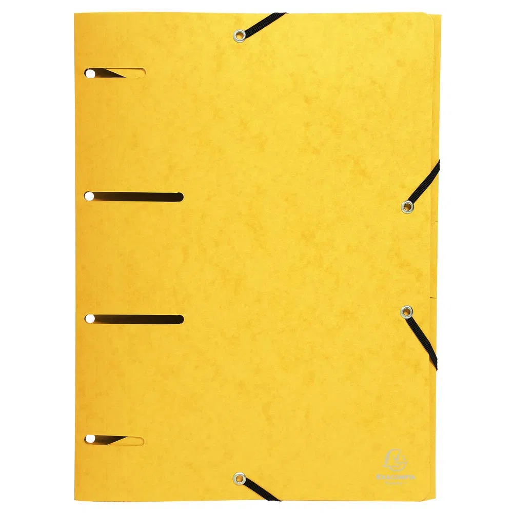 Exacompta Punchy - Pack de 25 carpetas con gomas y 3 solapas perforadas, 24 x 32 cm