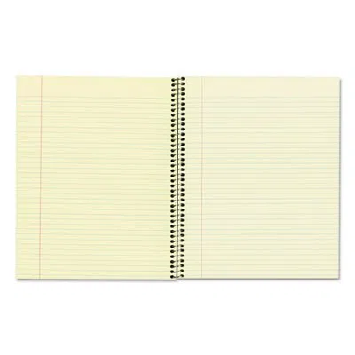 National Brand 1-Subject Notebook, 8" x 10", Narrow Ruled, 80 Sheets (2 Pack)