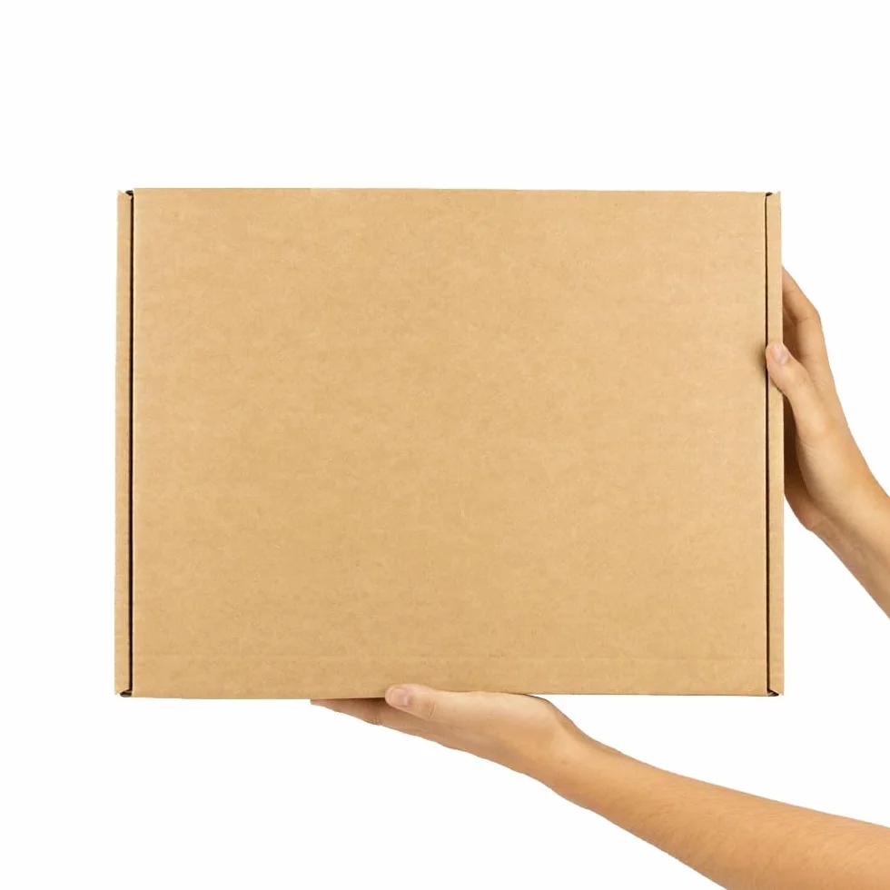 Pack 10 Cajas Cartón Kraft Automontables con Tapa – Doble Pared, Resistentes para Envíos, Ecommerce y Mensajería con medidas 42x32x10 cm