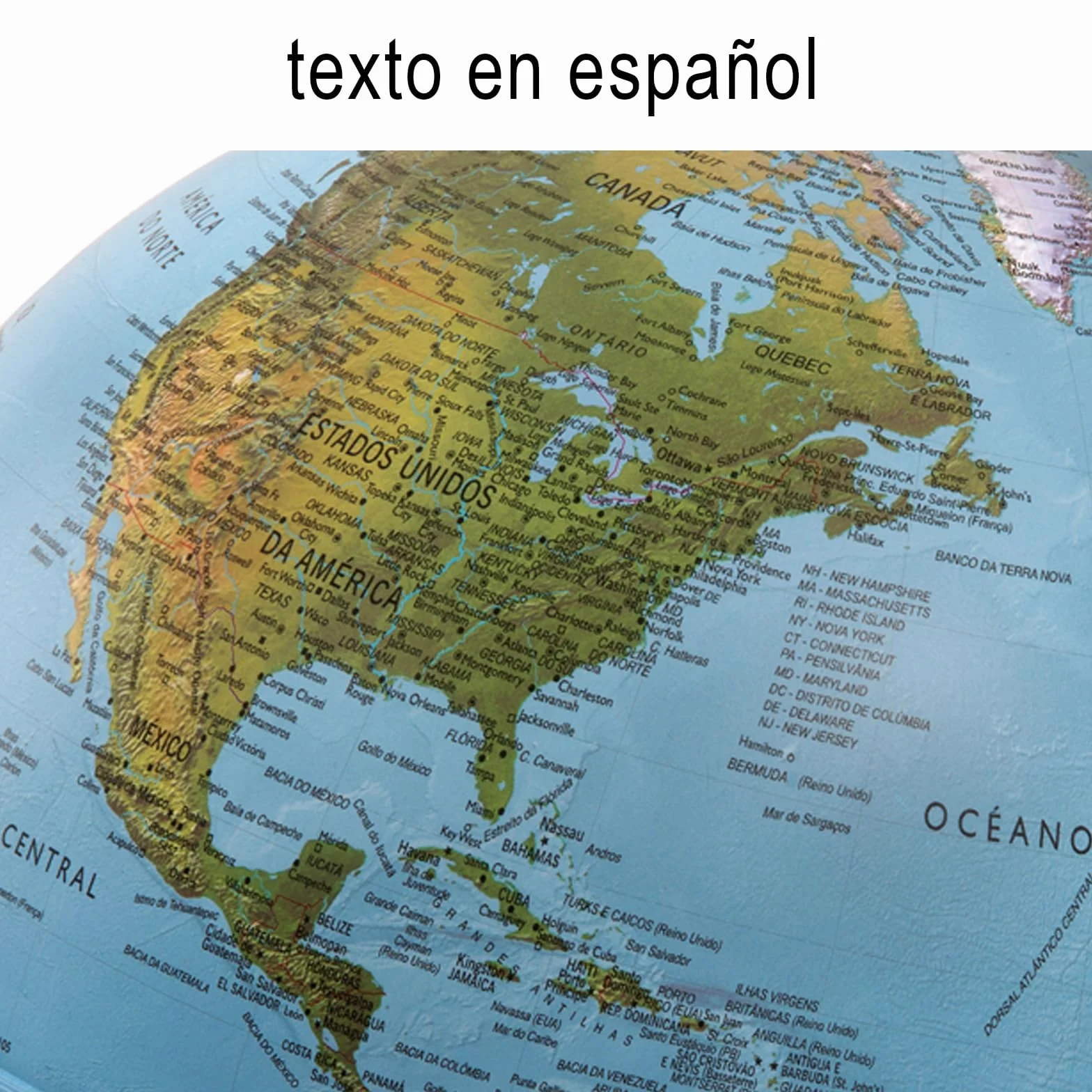 Tecnodidattica - GAIA 25 AR | Globo Terráqueo con Luz y Giratorio para Niños | Realidad Aumentada con Datos sobre Naturaleza y Cultura | Cartografía Física y Política | Diámetro de 25 cm I Español