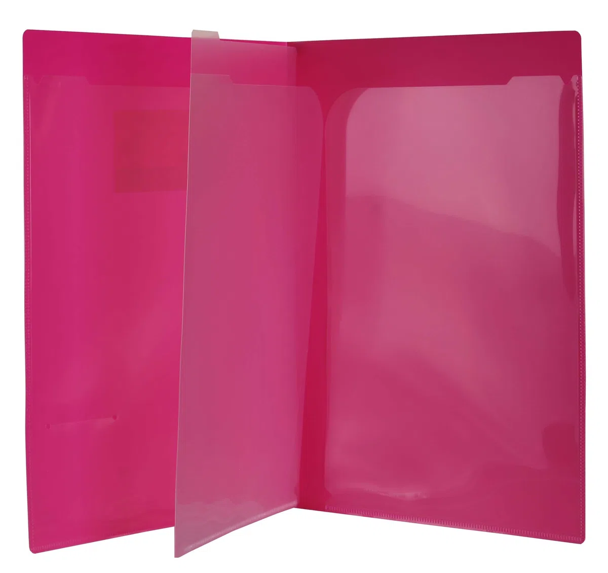 Filexec Products 4 Pocket Port/Folder, Assorted, Pack of 6 (50373-3140)