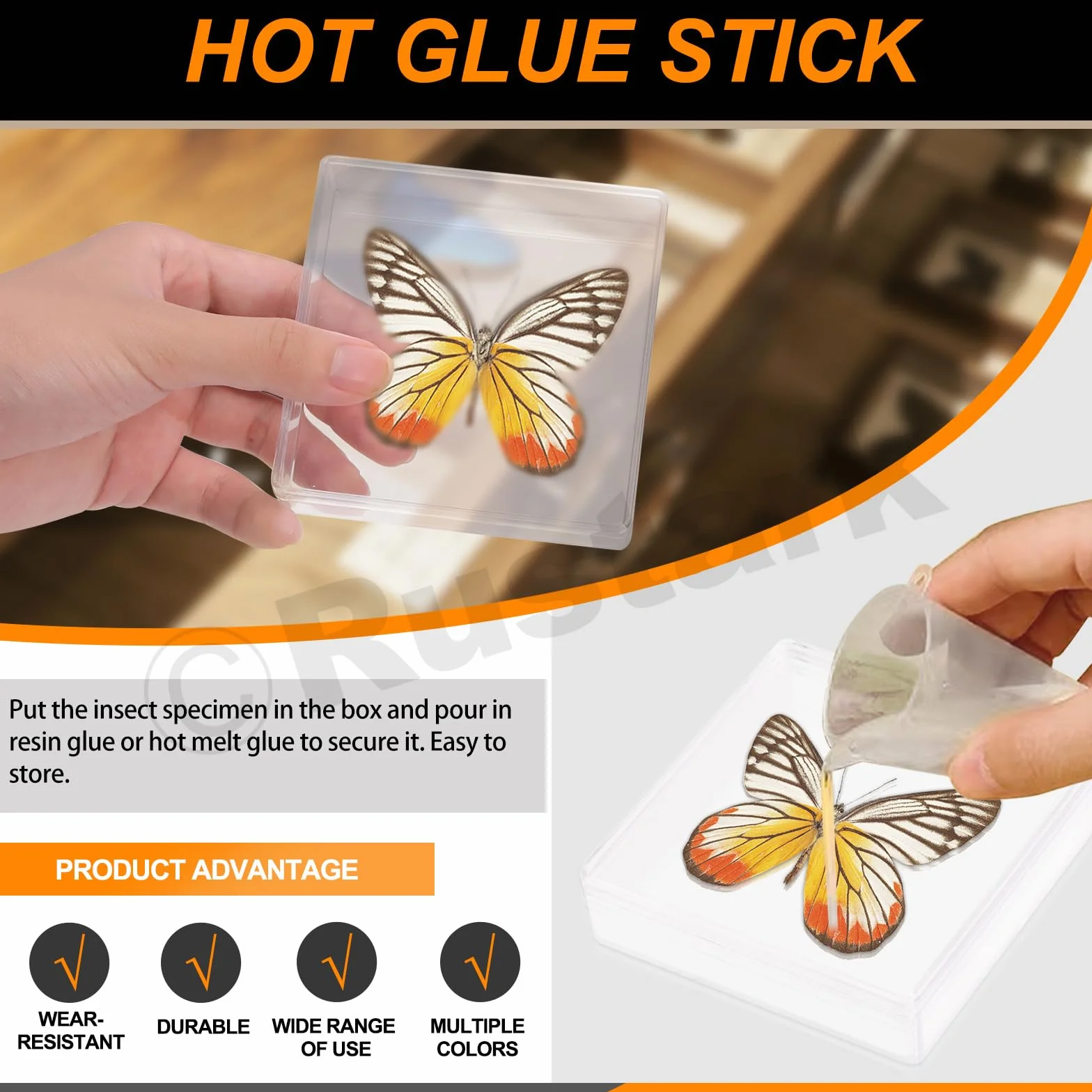 114 piezas de herramientas para hacer muestras de insectos, kit de fijación de insectos con bloque de fijación de insectos, alas, papel prensado, tablero de fijación de insectos, suministros