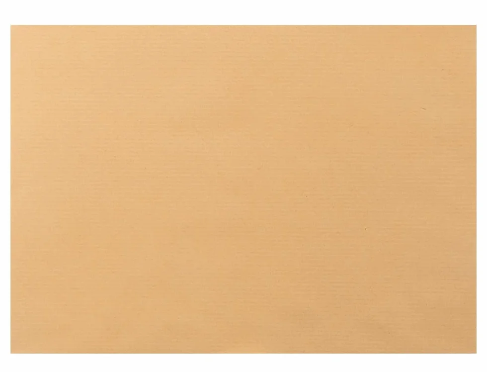 SOBRE LIDERPAPEL BOLSA N.11 KRAFT FOLIO PROLONGADO 250X353MM TIRA DE SILICONA CAJA DE 250 UNIDADES
