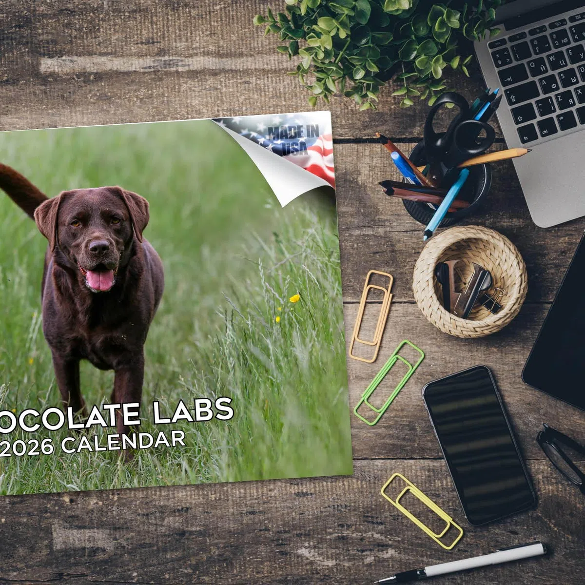 Calendario 2024 2025 de chocolate labrador – Calendario mensual de pared de raza de perro – 12 x 18 pulgadas abierto – Papel grueso que no se corre – Regalo – Calendario académico para profesores