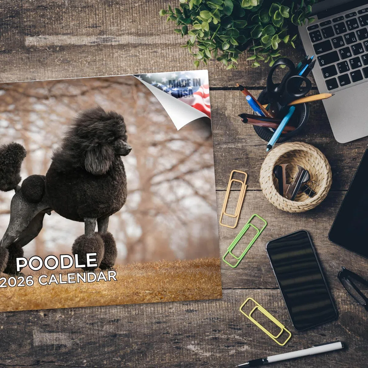 Calendario de caniche 2024 2025 – Calendario mensual de pared de raza de perro – 12 x 18 pulgadas abierto – Papel grueso que no se corre – Regalo – Calendario académico para profesores organizando y