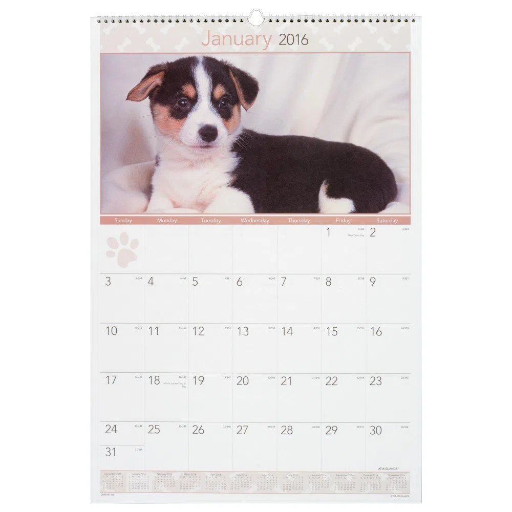 AT-A-GLANCE calendario de pared mensual 2016, cachorros, 15 – 1/2 x 22 – 3/4 pulgadas (dmw167 – 28) by de un vistazo