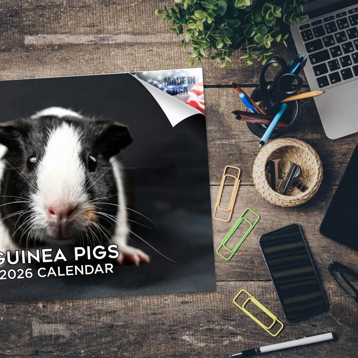 Calendario 2024 2025 de conejillos de indias, calendario mensual de pared de animales lindos, abierto de 12 x 18 pulgadas, papel grueso que no se corre, regalo, planificador académico para profesores,