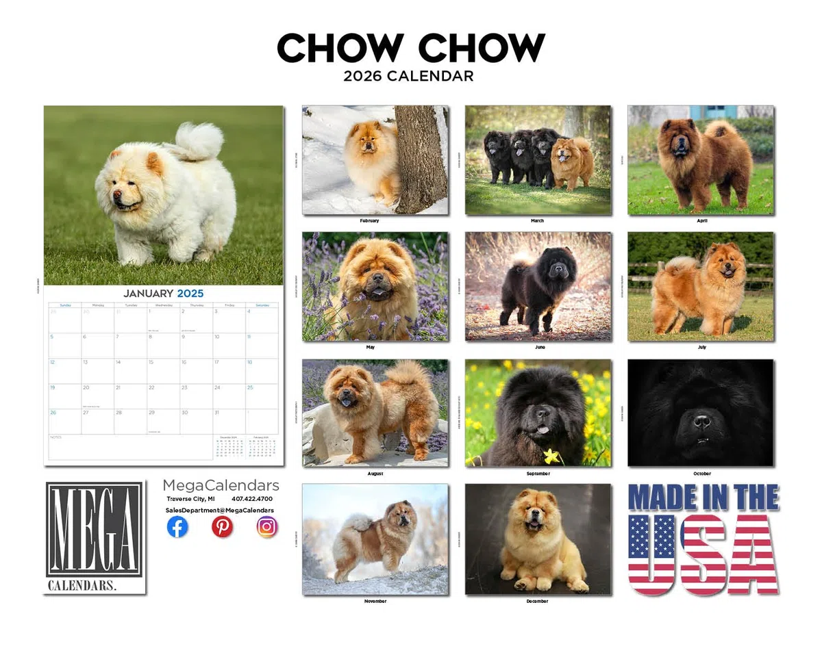Calendario 2024 2025 Chow Chow – Calendario mensual de pared de raza de perro – 12 x 18 pulgadas abierto – Papel grueso que no se corre – Regalo – Calendario académico para profesores, organización y