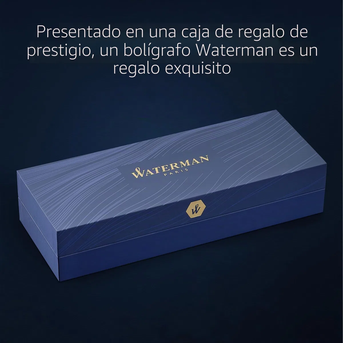 Waterman Hémisphère Pluma estilográfica | La Edición Discreta | Gris piedra | plumín mediano de acero inoxidable | estuche de regalo