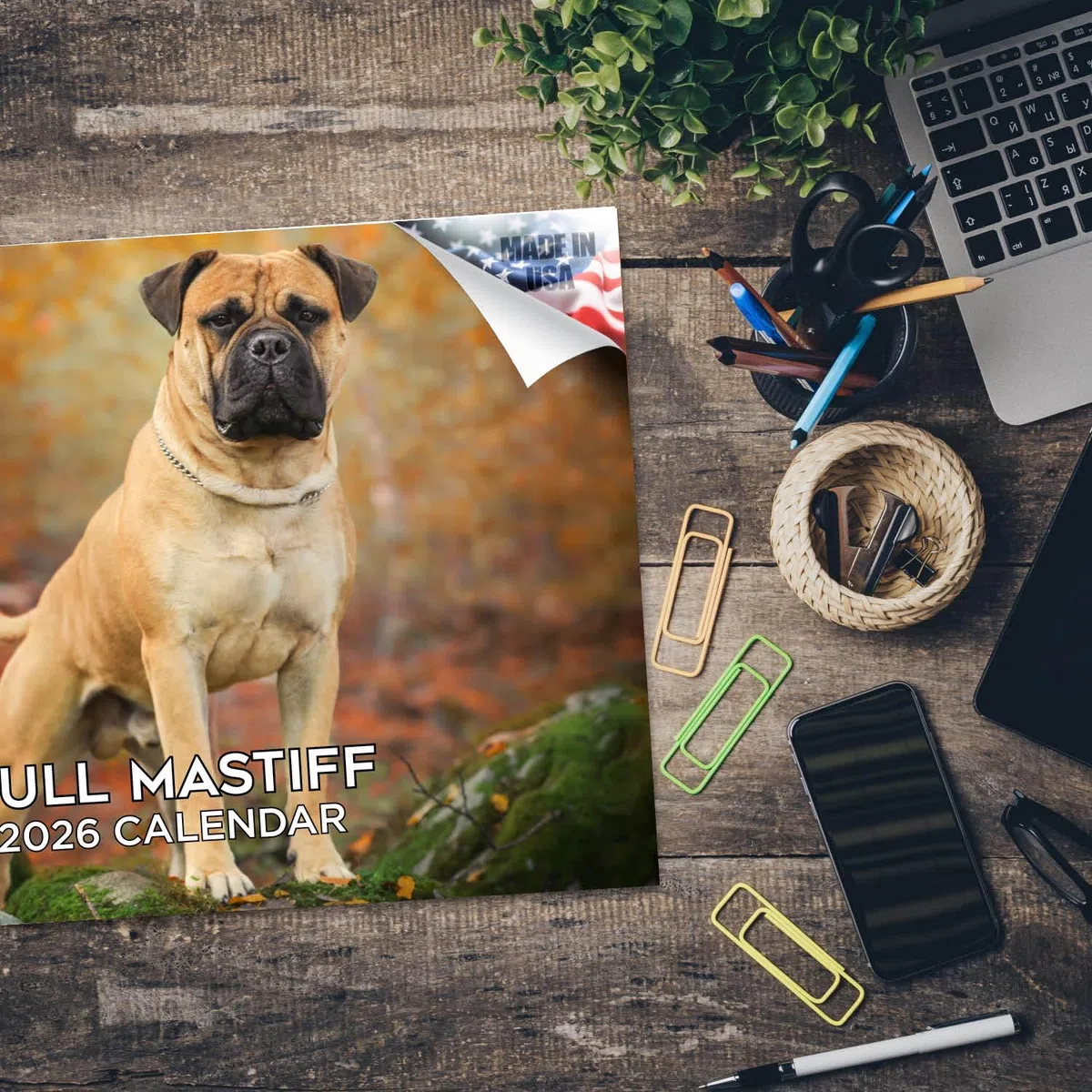Calendario mensual de pared 2024 2025 con diseño de toro mastín – Calendario mensual de pared de raza de perro – 12 x 18 pulgadas abierto – Papel grueso que no se corre – Regalo – Planificador