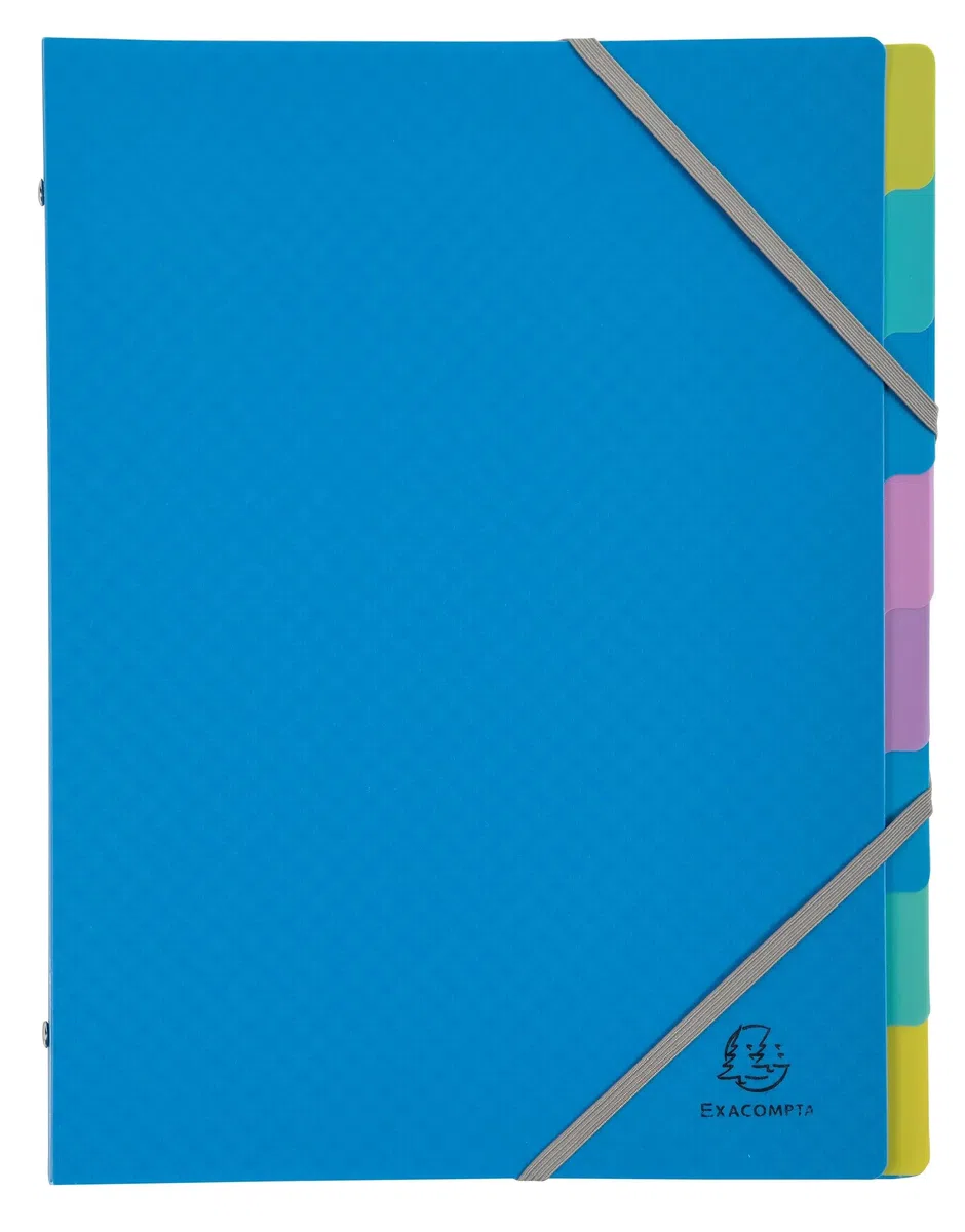 Exacompta 56190E Forever Young - Caja de 8 clasificadores, 3 solapas con gomas - cubierta e interior de polipropileno reciclado - 8 compartimentos - Dim 25 x 32 cm - para tamaño A4 - surtidos