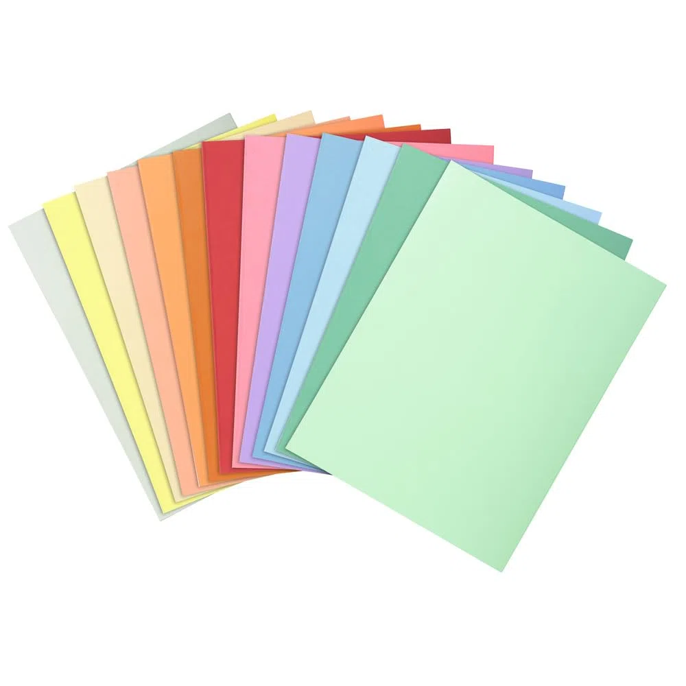 Exacompta 330000E - Lote de 100 Subcarpetas Super 250, Multicolor, 24 x 32 cm
