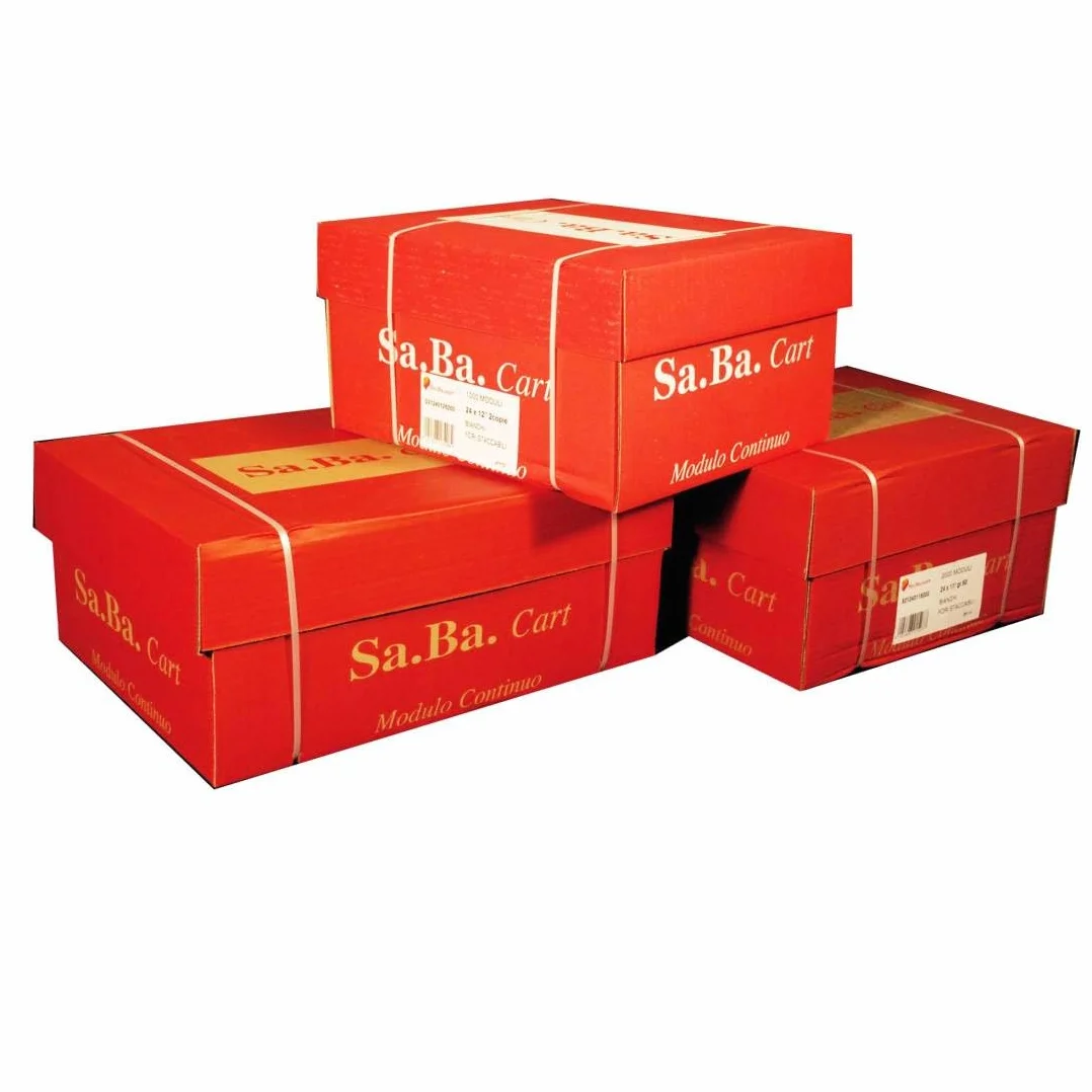 Sa.Ba.Cart S01240117000 - Papel de módulo continuo, 240 mm x 11", 70 g/m², blanco pistas desmontables, paquete de 2000 hojas