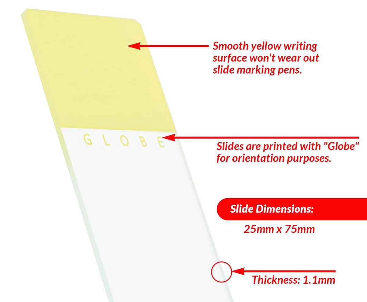 Globe Scientific 1324Y - Guía para microscopio (Cristal, 25 x 75 mm), Bordes con Esquinas de Seguridad, Color Amarillo Esmerilado (1.440 Diapositivas)